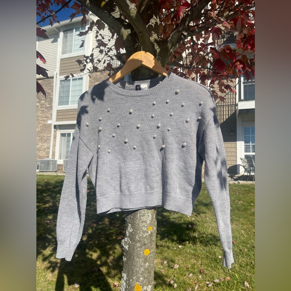 H&M Crop Top Sweater